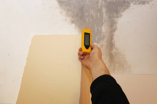 Best Post-Remediation Verification Testing  in Lyons, NJ
