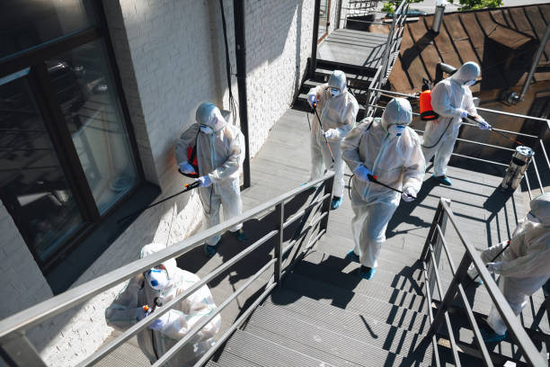 Best Real Estate Mold Inspection  in Lyons, NJ