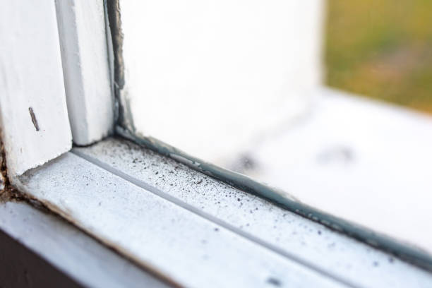 Best Biohazard Mold Removal  in Lyons, NJ