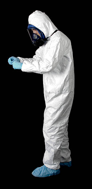 Trusted Lyons, NJ Mold Removal Experts